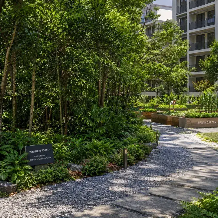 Prestige Gardenia Estate Phase 2 Miyawaki micro-forest and urban-garden pathway Prestige Gardenia Estate Phase 2 Miyawaki micro-forest and urban-garden pathway